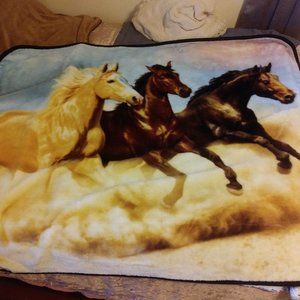 EUC*Soft and Cozy Horse Blanket